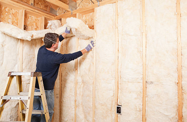 Best Attic Insulation Installation in Hoxie, KS